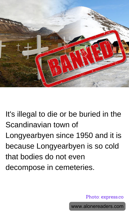 General Knowledge Learning Cards