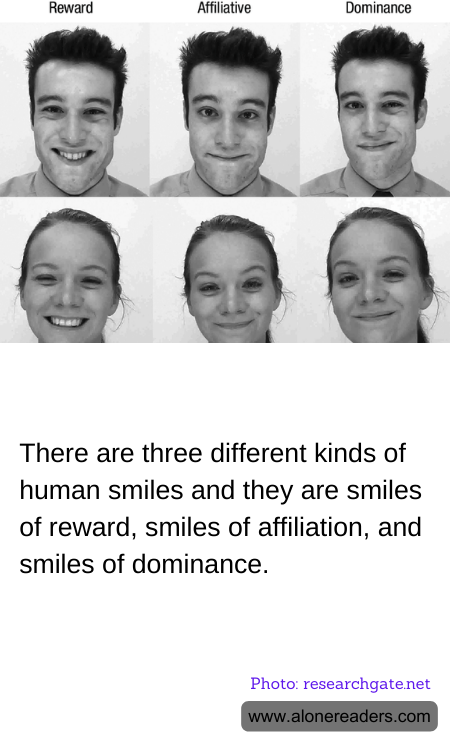 General Knowledge Learning Cards