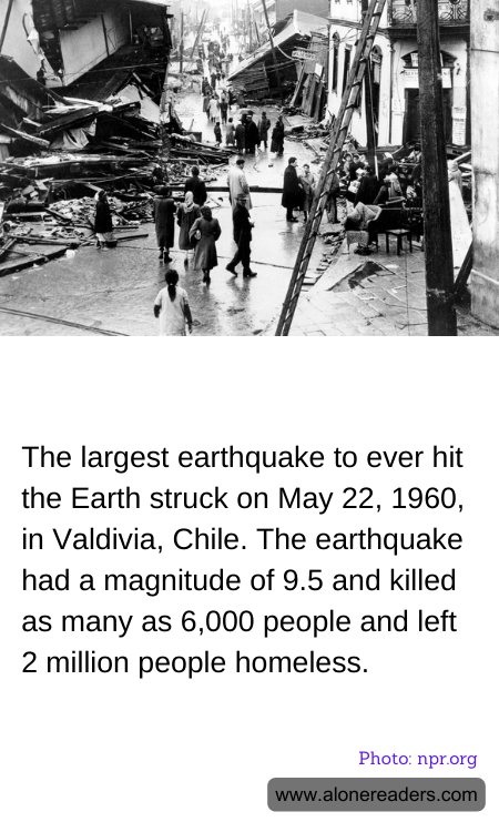 General Knowledge Learning Cards