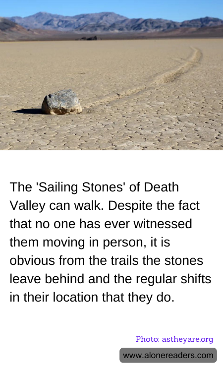The 'Sailing Stones' of Death Valley can walk. Despite the fact that no one has ever witnessed them moving in person, it is obvious from the trails the stones leave behind and the regular shifts in their location that they do.