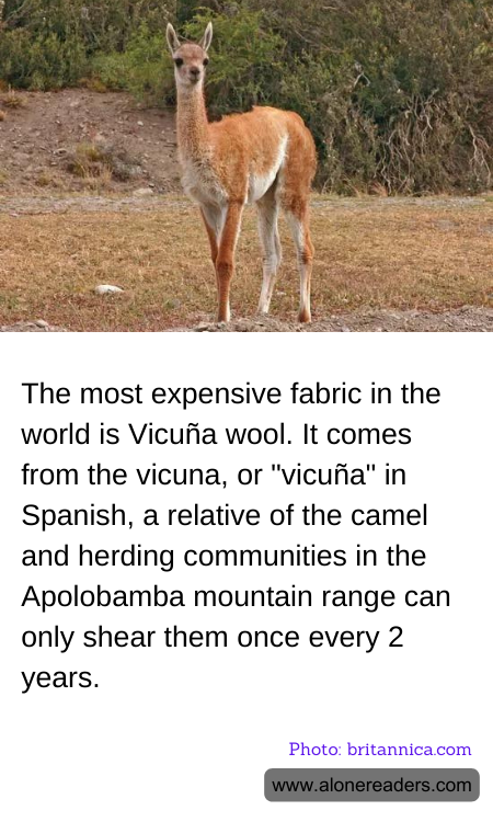 General Knowledge Learning Cards