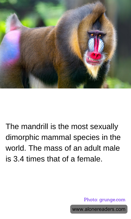 General Knowledge Learning Cards