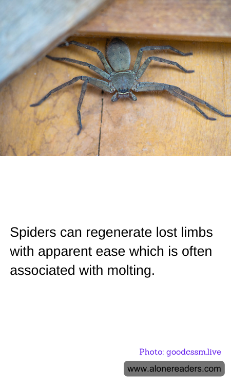 General Knowledge Learning Cards