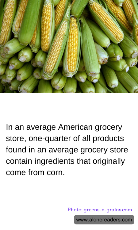 General Knowledge Learning Cards