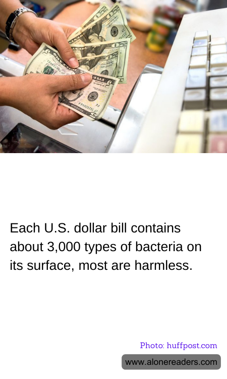 General Knowledge Learning Cards