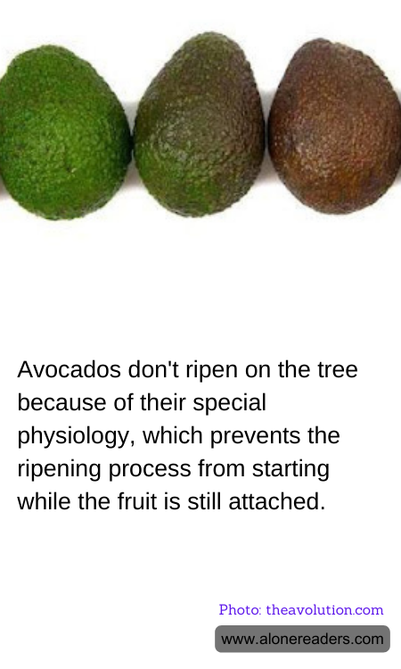 General Knowledge Learning Cards