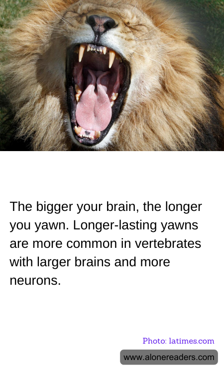 General Knowledge Learning Cards