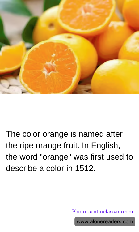 General Knowledge Learning Cards