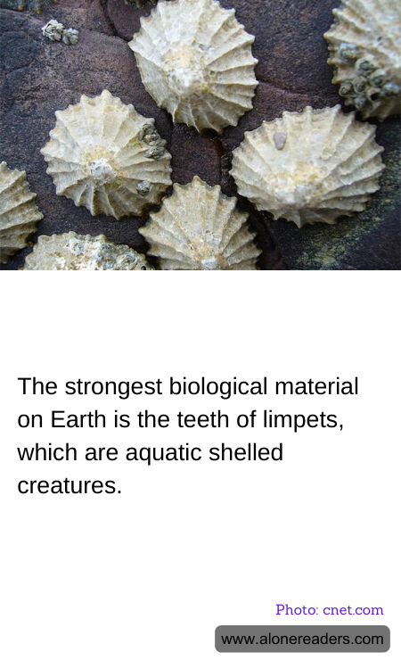 General Knowledge Learning Cards