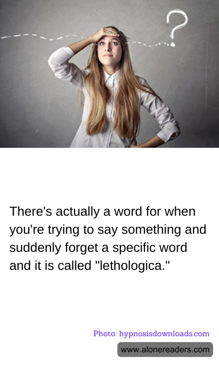 General Knowledge Learning Cards