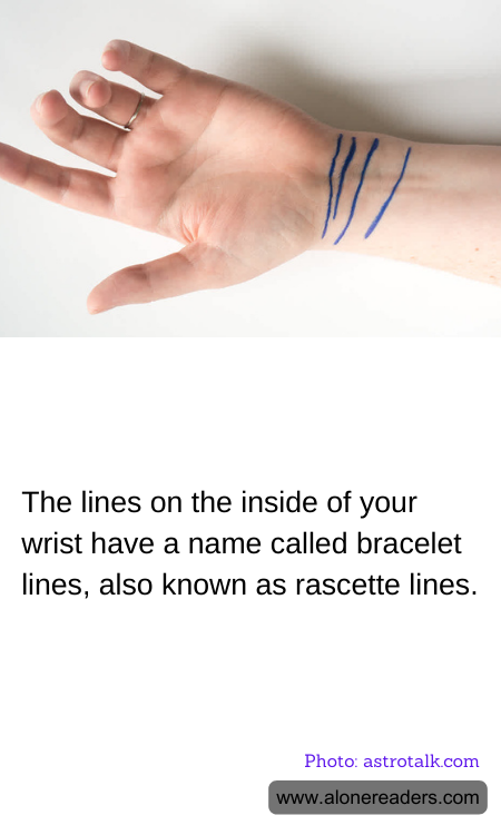 The lines on the inside of your wrist have a name called bracelet lines, also known as rascette lines.