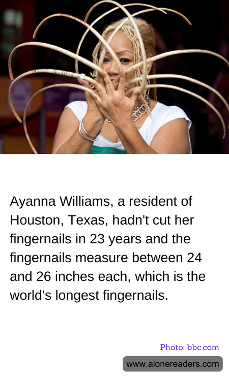 General Knowledge Learning Cards