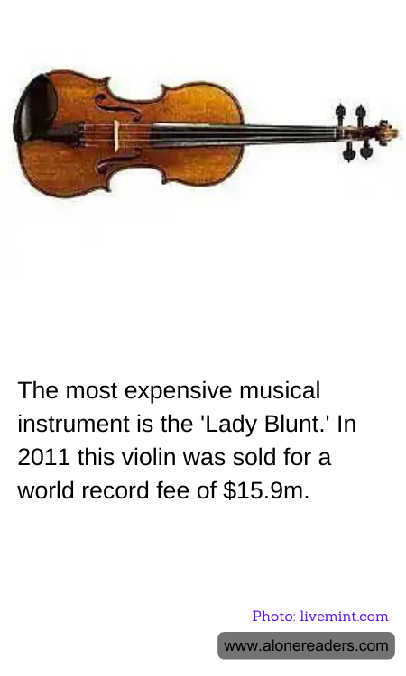 General Knowledge Learning Cards