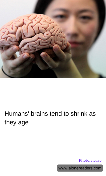 General Knowledge Learning Cards