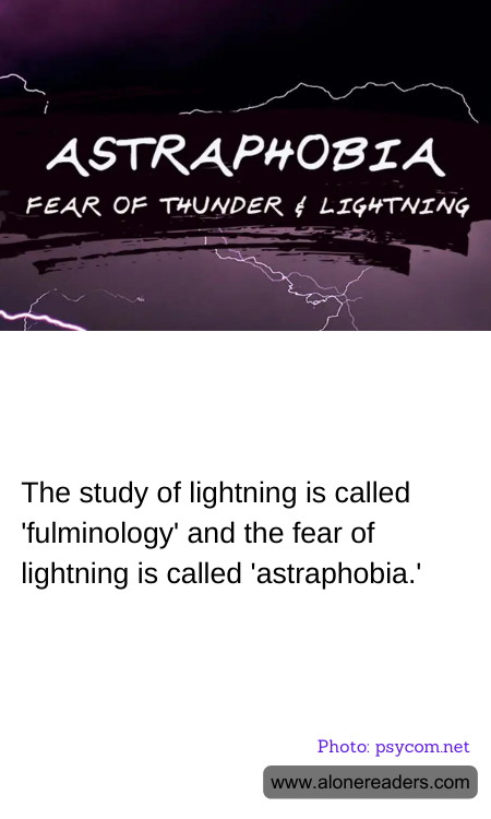 General Knowledge Learning Cards