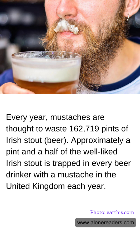 General Knowledge Learning Cards