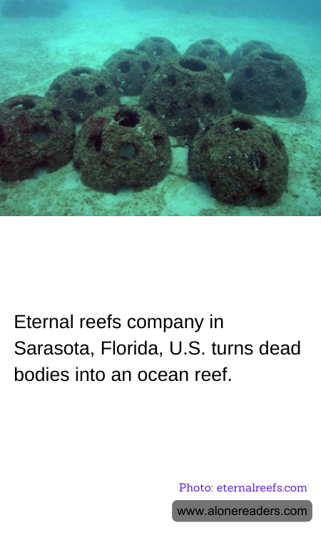 General Knowledge Learning Cards