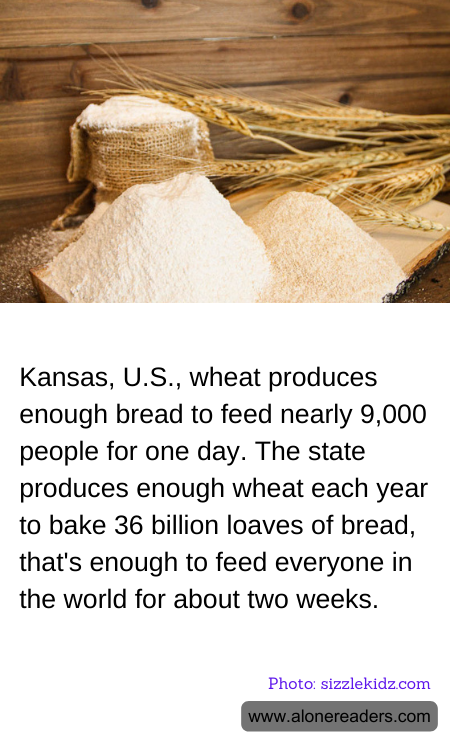 Kansas, U.S., wheat produces enough bread to feed nearly 9,000 people for one day. The state produces enough wheat each year to bake 36 billion loaves of bread, that's enough to feed everyone in the world for about two weeks.