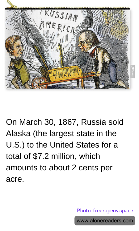 General Knowledge Learning Cards