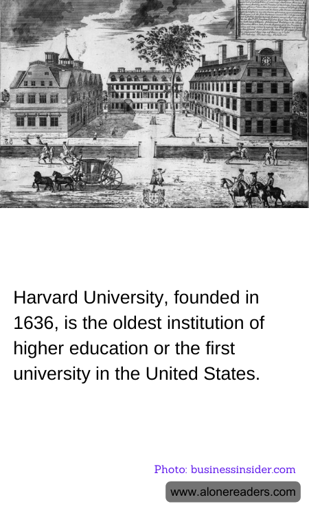 General Knowledge Learning Cards