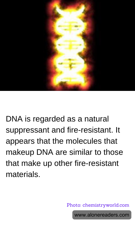 General Knowledge Learning Cards