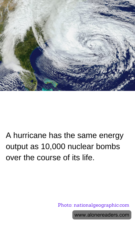 General Knowledge Learning Cards