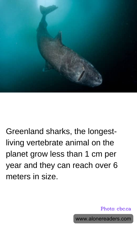 General Knowledge Learning Cards