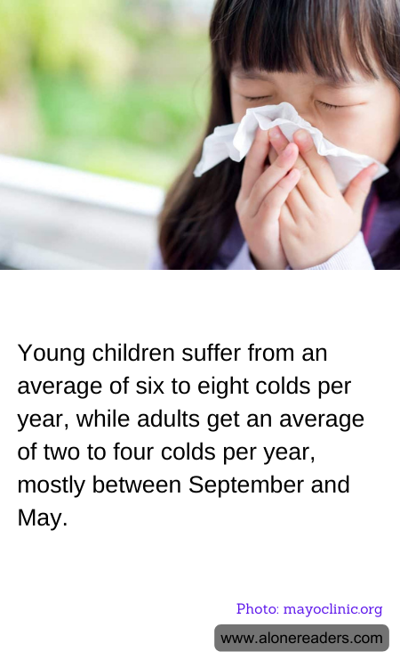 General Knowledge Learning Cards