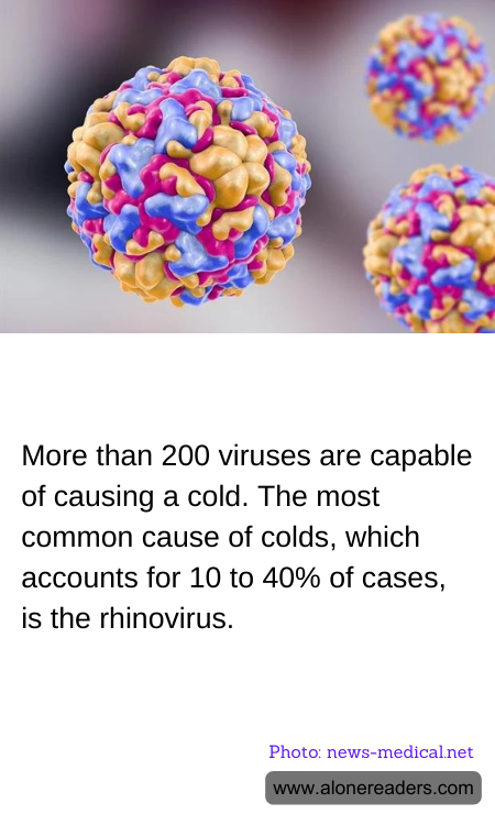 General Knowledge Learning Cards