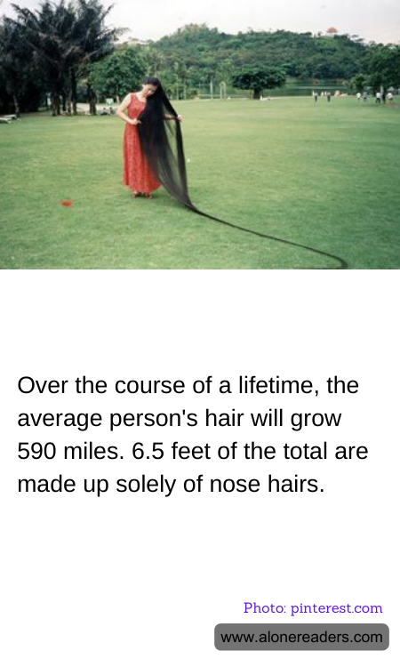 General Knowledge Learning Cards