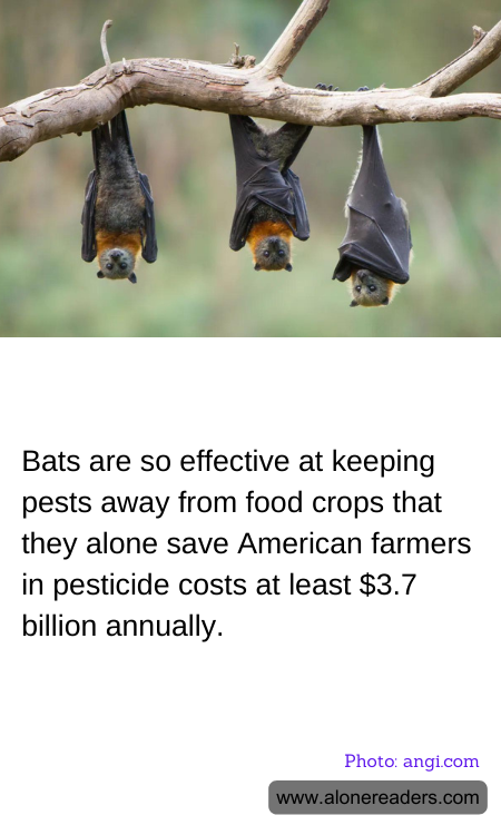 General Knowledge Learning Cards