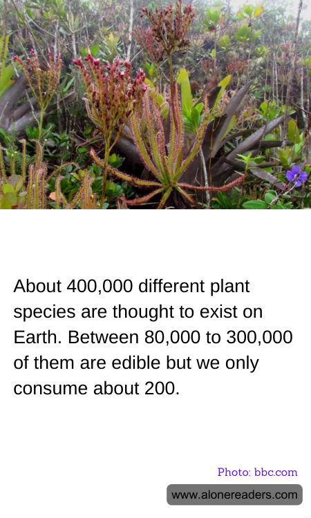 General Knowledge Learning Cards