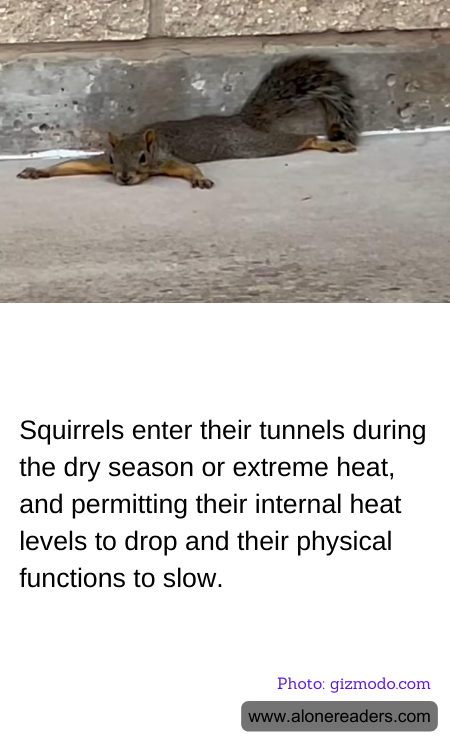 General Knowledge Learning Cards