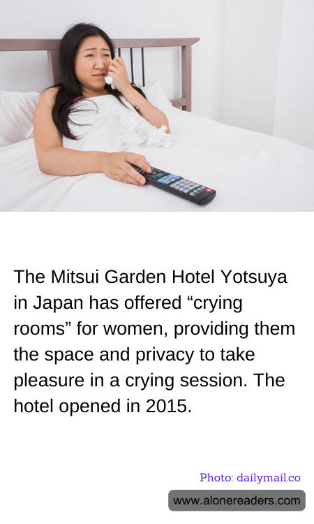 General Knowledge Learning Cards