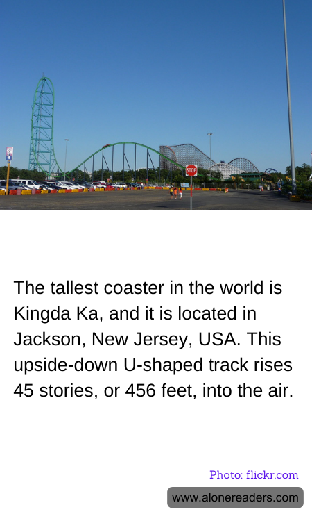 General Knowledge Learning Cards