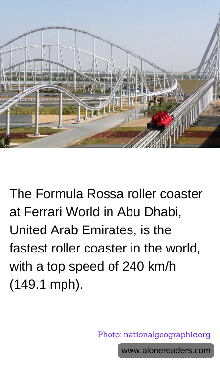 General Knowledge Learning Cards