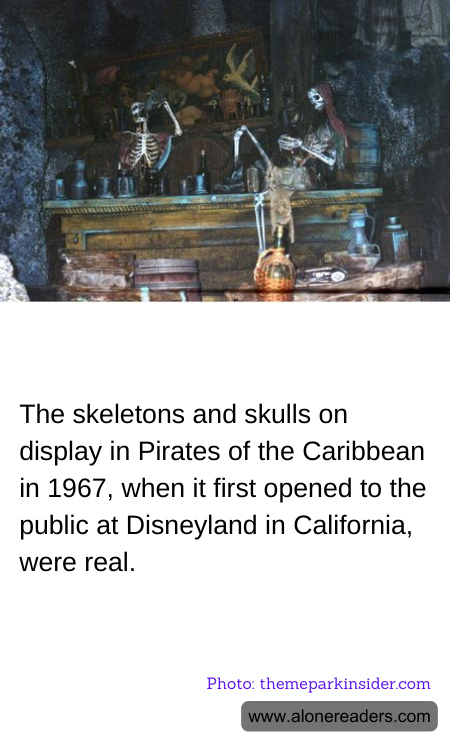 General Knowledge Learning Cards