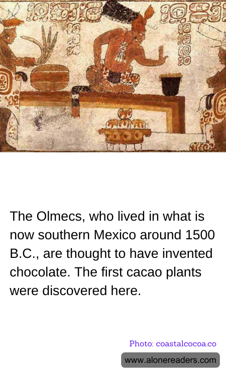 General Knowledge Learning Cards