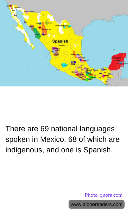 There are 69 national languages spoken in Mexico, 68 of which are indigenous, and one is Spanish.