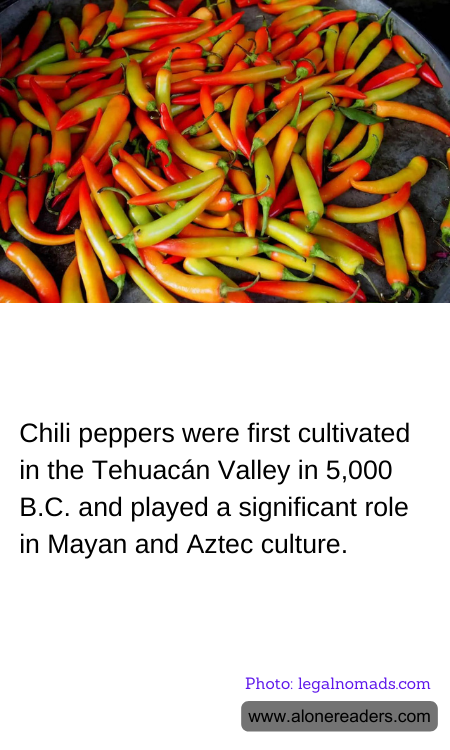 General Knowledge Learning Cards