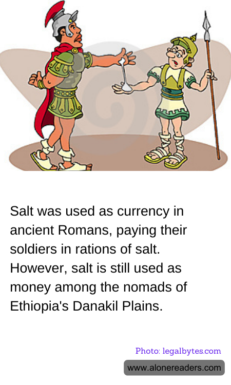 General Knowledge Learning Cards