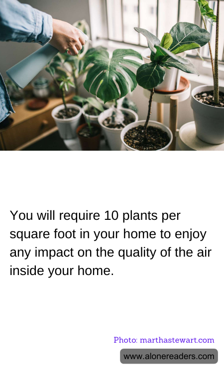 General Knowledge Learning Cards