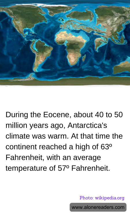 General Knowledge Learning Cards