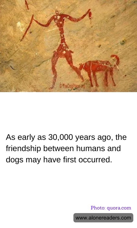 General Knowledge Learning Cards