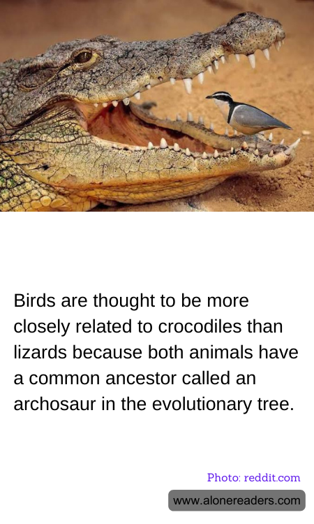 According to research, left-handed drivers speed more frequently and are involved in more serious accidents than right-handed drivers.