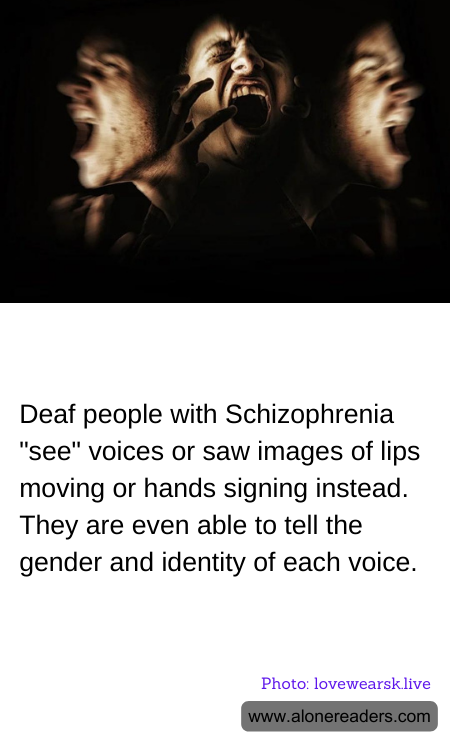 General Knowledge Learning Cards