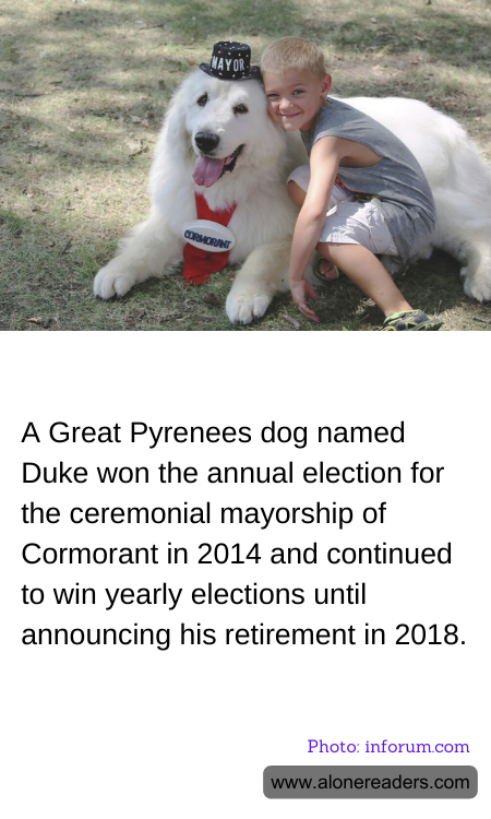 General Knowledge Learning Cards