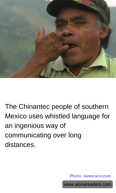 General Knowledge Learning Cards