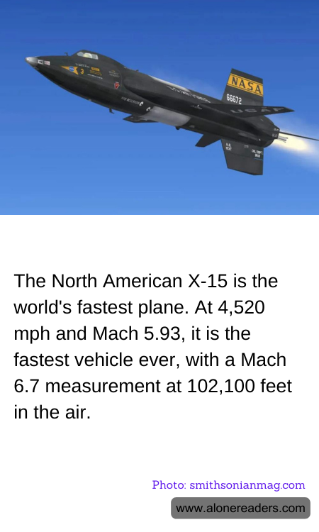 General Knowledge Learning Cards