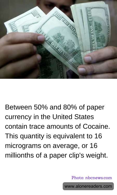 General Knowledge Learning Cards